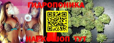 прущие крисы Владикавказ
