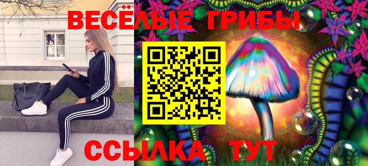 Псилоцибиновые грибы MAGIC MUSHROOMS  Вход с VPN  Семилуки 